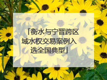 衡水与宁晋跨区域水权交易案例入选全国典型